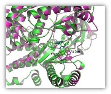 旋乐吧spin8科技