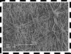 旋乐吧spin8科技